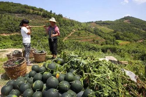 青海浪山最新吃瓜爆料,揭秘神秘事件背后的真相