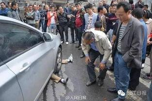 海丰爆料网碰瓷新闻最新,真相与反思